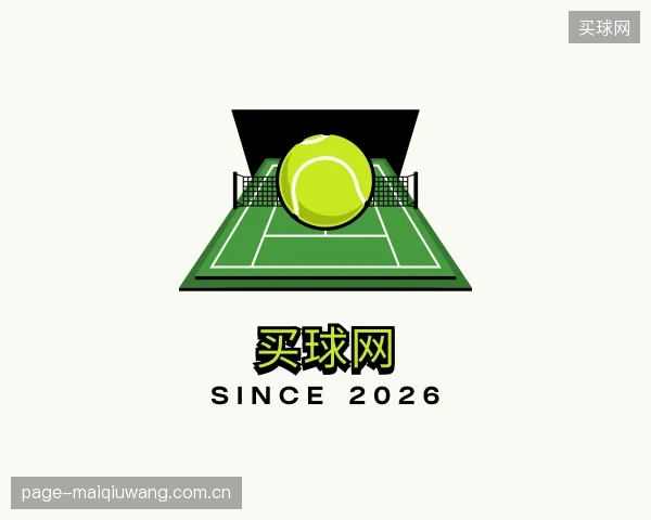 发现买球网公司
